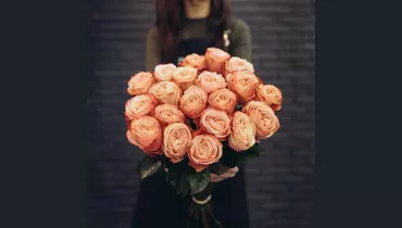 Роза пионовидная кахала 25 штук (70см)