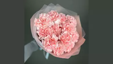 Моно розовые гвоздики (15шт) FMART by flowwow