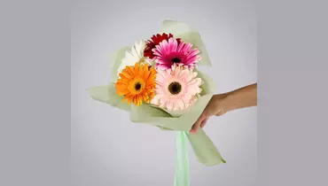 Монобукет из&nbsp;5 гербер микс в&nbsp;упаковке