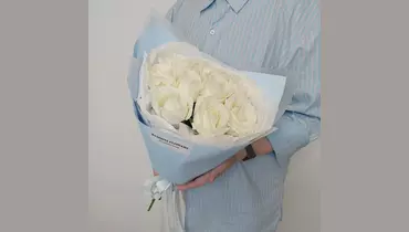 Изображение товара Снежный зефир