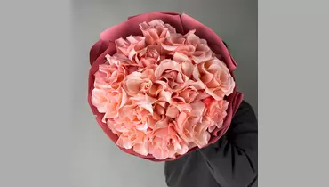 Коралловое кружево (15шт) FMART by flowwow