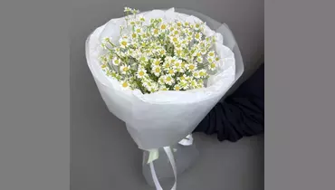 Букет 15 ромашек в&nbsp;светлой упаковке