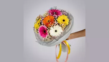 Монобукет из&nbsp;7 гербер с&nbsp;гипсофилой