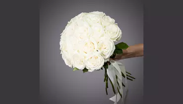 Монобукет 17 пионовидных Роз Playa Blanca под&nbsp;ленту