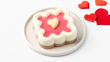 Торт "Нежный бенто" шоколадный микс