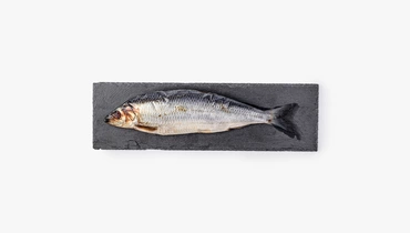 Изображение товара Соленая сельдь атлантическая 300+ мясо легко усваивается