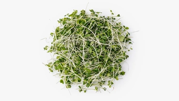 Изображение товара Микрозелень брокколи 30 г полезная свежая добавка к блюдам