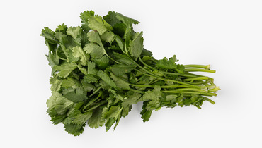 Изображение товара Кинза 50 г - ароматная приправа для кавказской и мексиканской кухни