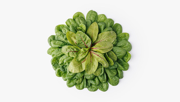 Изображение товара Микс салатный Шпинат и мангольд 75 г ВкусВилл свежий и полезный