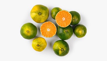 Изображение товара Мандарины нового урожая - свежие и вкусные фрукты