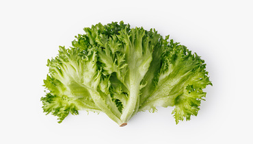 Изображение товара Салат Фриллис 100 г - свежий зелёный салат для салатов и закусок