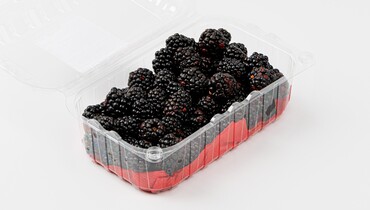 Изображение товара Ежевика, 400 г