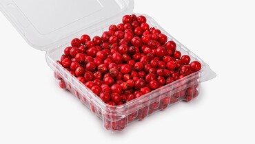 Изображение товара Брусника 125 г - Ягода для соусов и напитков