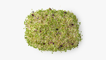 Изображение товара Микс из ростков ВкусВилл Растительный батон 200 г полезный и свежий