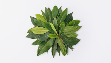 Изображение товара Лавровый лист свежий, 20 г