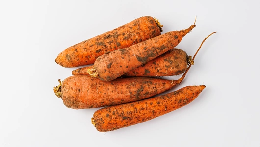 Морковь Морковь