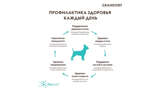 Корм сухой Grandorf 4 мяса с пробиотиками для собак мини-пород 3 кг Корм сухой Grandorf 4 мяса с пробиотиками для собак мини-пород 3 кг