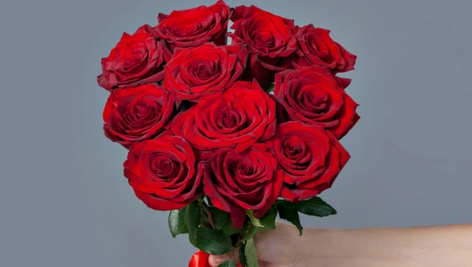 Монобукет 11 Роз Explorer под ленту