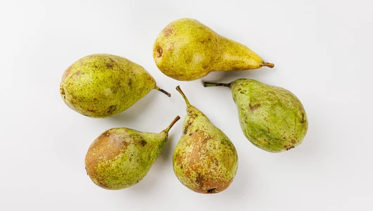 Груша Конференция