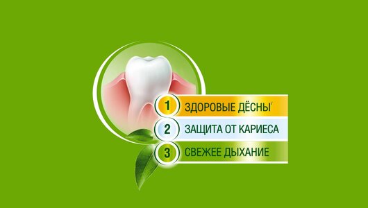 Лесной Бальзам зубная паста на отваре трав Тройной эффект с ромашкой и облепихой 75 мл Лесной Бальзам зубная паста на отваре трав Тройной эффект с ромашкой и облепихой 75 мл