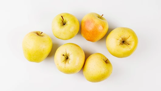 Яблоко Гольден "Медовый бочок"