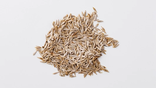 Семена Салат "Восторг" (А)_СО