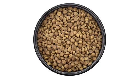 Smart Cat Сухой корм для котят с индейкой, цыпленком и овощами, KITTEN, Turkey, Chicken and vegetables, 1,4кг