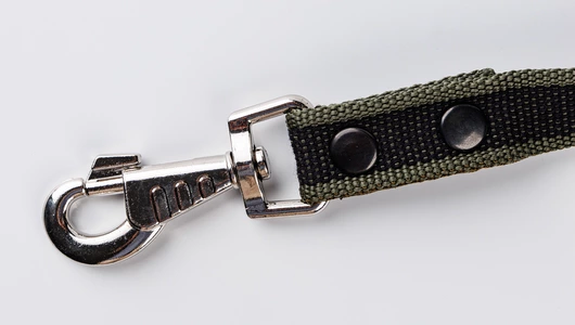 Поводок для собак стропа с карабином Homepet 25 мм, 2 м
