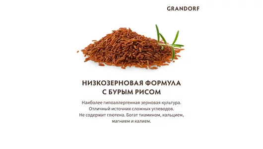 Корм сухой Grandorf Ягненок с индейкой для собак мини-пород 3 кг Корм сухой Grandorf Ягненок с индейкой для собак мини-пород 3 кг