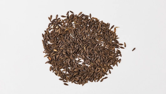 Семена "Салат Рубин"