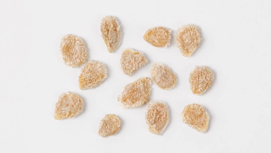 Семена "Томат Бычье сердце для лечо" 0,3 г АСТ