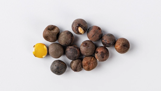 Семена Душистый горошек Спенсер темно-синий_СО