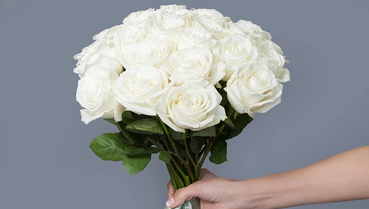 Монобукет из&nbsp;25 пионовидных эквадорских Роз "Playa Blanka" под&nbsp;ленту