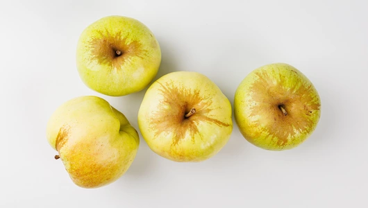 Яблоко Богатырь