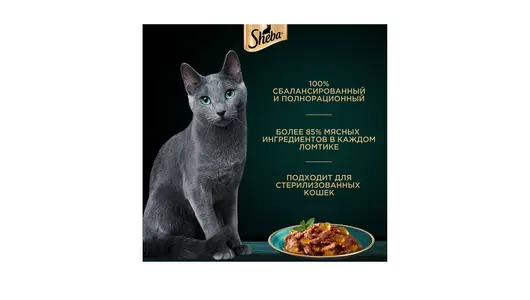Корм влажный для взрослых кошек Sheba курица в желе 75 г Корм влажный для взрослых кошек Sheba курица в желе 75 г