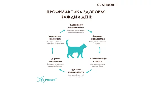 Корм сухой Grandorf для домашних кошек 4 мяса с пробиотиками 2 кг Корм сухой Grandorf для домашних кошек 4 мяса с пробиотиками 2 кг