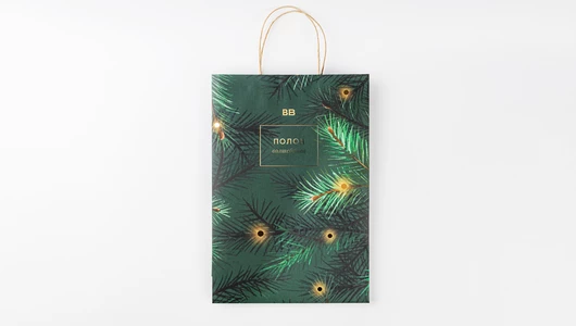 Пакет бумажный подарочный (24*35*8 см)