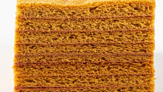 Пастила яблочная с брусникой без добавления сахара