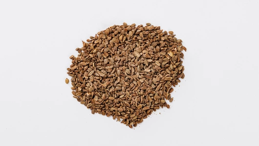 Семена Морковь "Тушон" (А)_СО