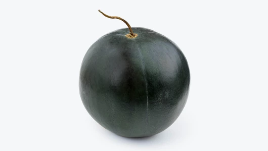 Арбуз Черный принц