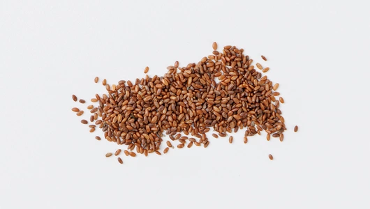 Семена Колокольчик "карпатский Микс"_СО