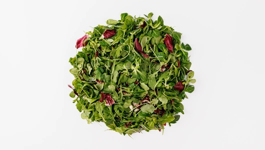 Микс салатный "Рукола, Корн, Радичио" 125 г Микс салатный "Рукола, Корн, Радичио" 125 г