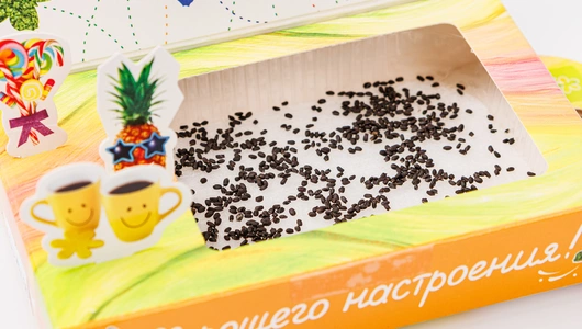Набор для выращивания "Хорошее настроение"