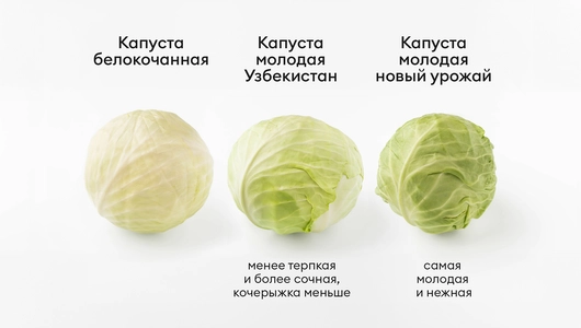Капуста молодая Узбекистан