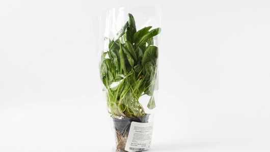 Салат Шпинат в&nbsp;горшочке