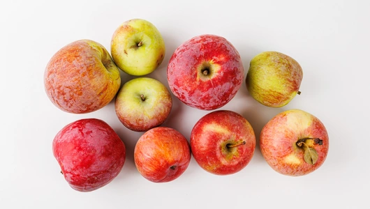 Яблоко Ветеран