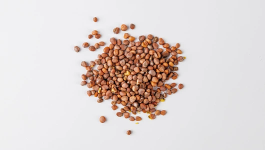 Семена Редис "Жар-птица" (А)_СО