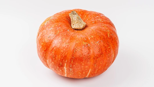 Тыква Праздничная