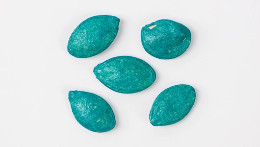 Семена "Кабачок Галакси F1 для длительного плодоношения" 5 шт АСТ Семена "Кабачок Галакси F1 для длительного плодоношения" 5 шт АСТ