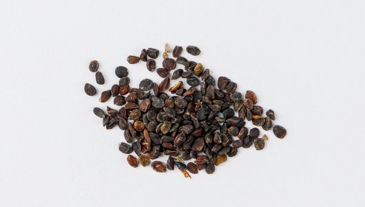 Семена Аубреция "Смесь окрасок"_СО